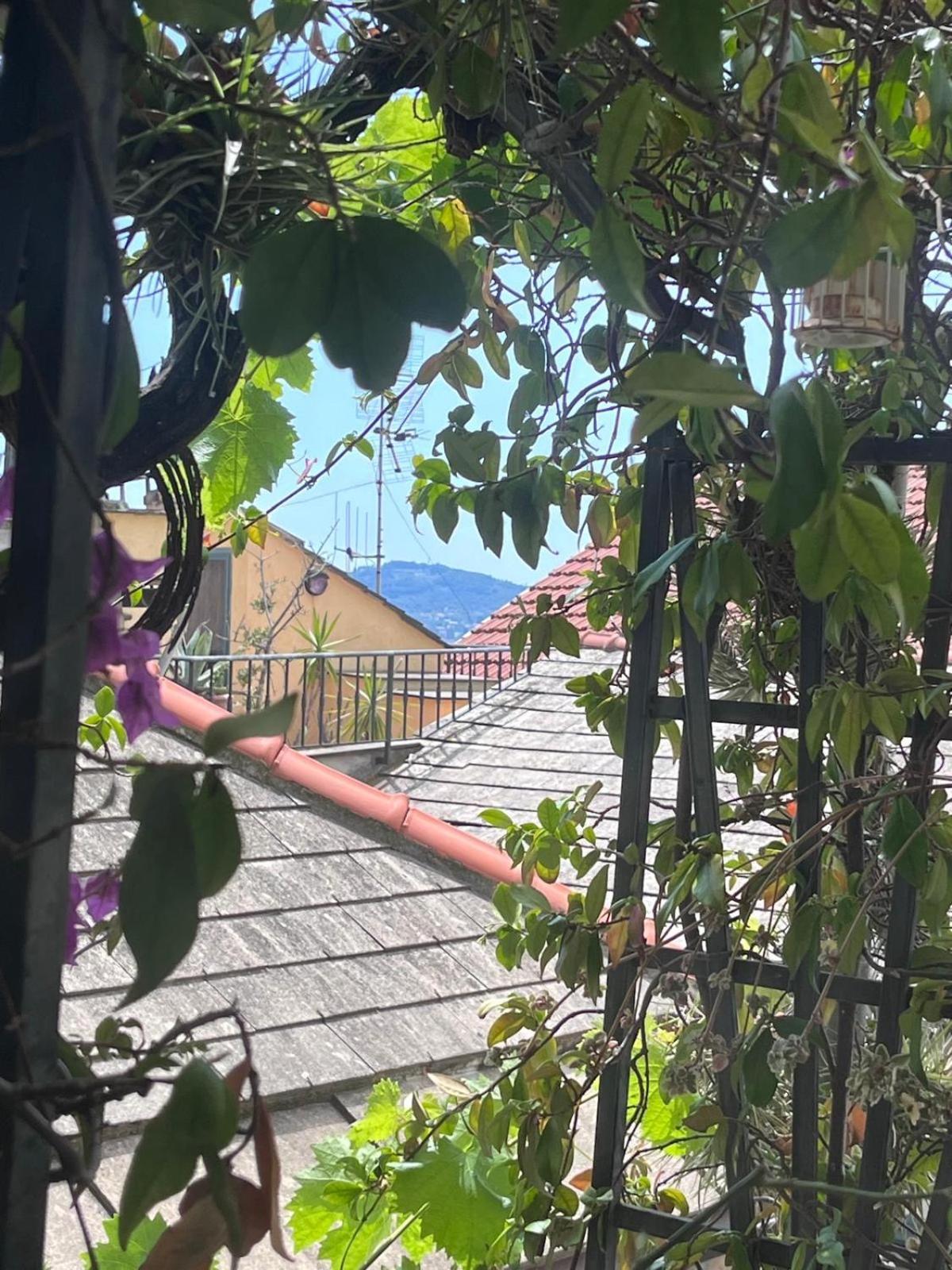 チェルヴォ La Finestra Sul Borgo Bed & Breakfast エクステリア 写真
